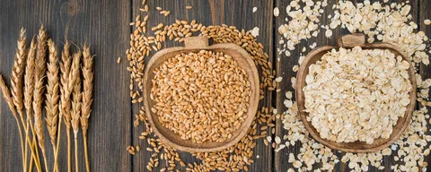 Benefits of Oat StrawNootropics